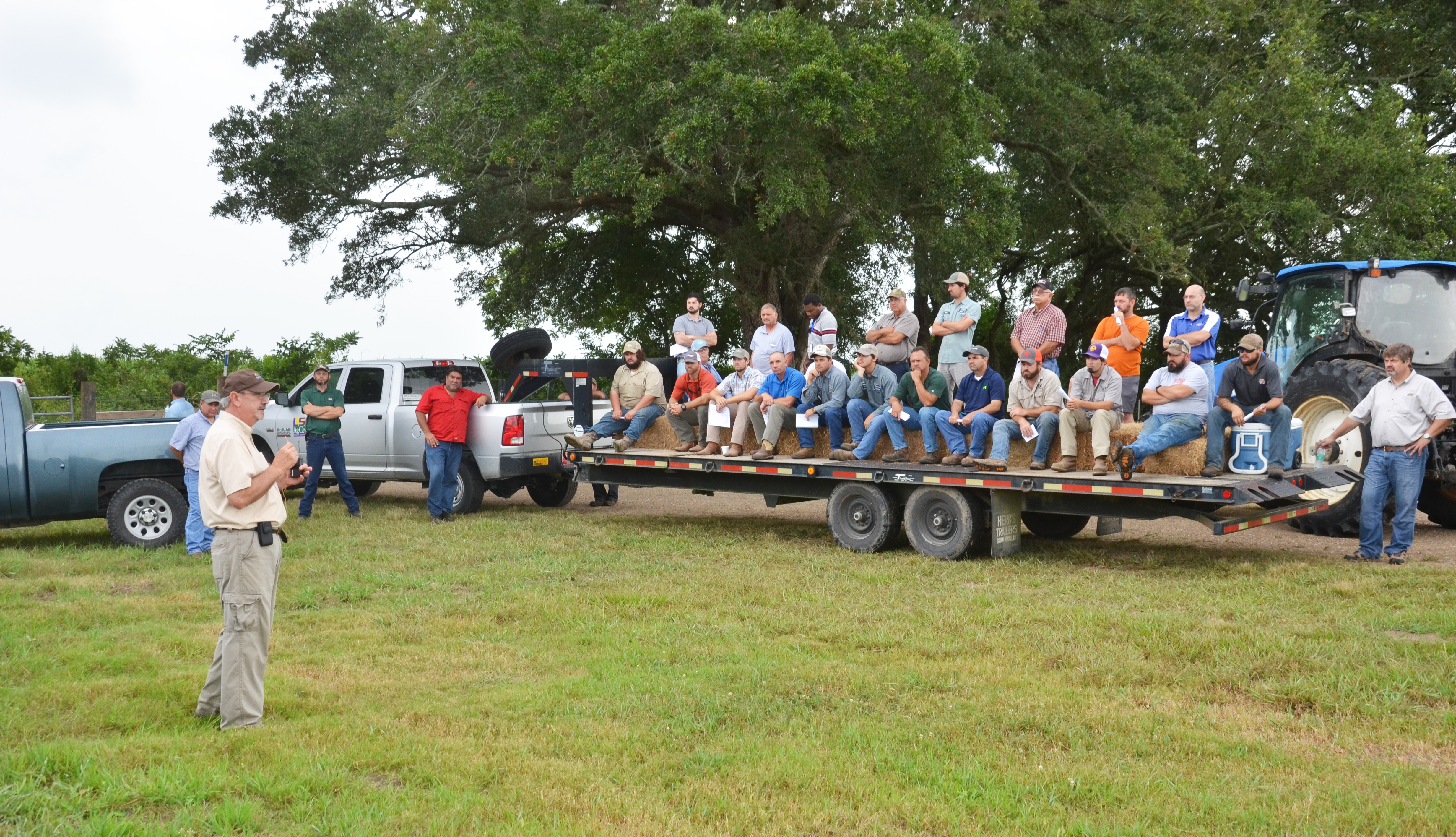 La. sugar acres up, crop looks good, expert says